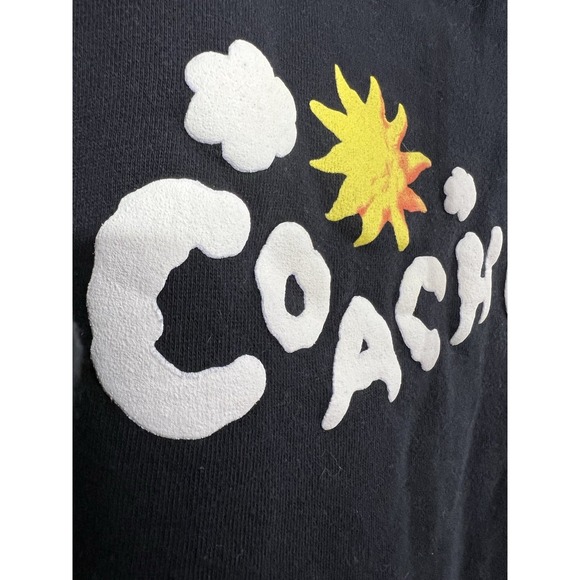 Coachella 2023 Hoodie Men Size M Puffy Print Frank Ocean Bad Bunny Merch - Picture 3 of 6